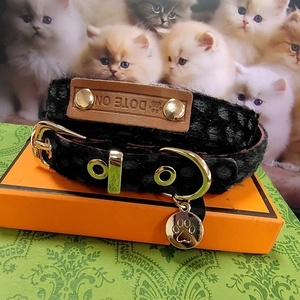 Close-up of black leopard print pet collar with leather tag and gold buckle on orange box