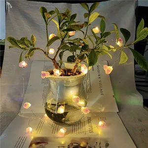 Close-up of LED string lights with purple raw crystal stones on green plant leaves