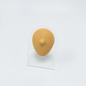Realistic silicone nipple model on acrylic stand for professional piercing training