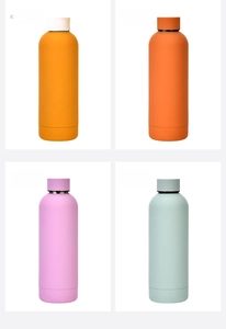 Matte insulated sports bottles in Earthy Yellow, Cinnabar Orange, Lilac, and Pale Green