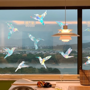 Rainbow prism window film showing hummingbird shaped static stickers on glass