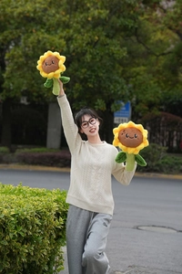 Gros plan de coussins tournesol en peluche mignons avec des visages souriants dehors