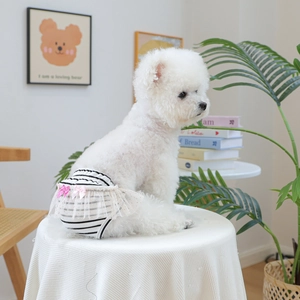 Close-up of black and white striped dog physiological pants with pink lace skirt and bows