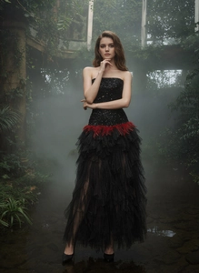 Detail of black sequined corset dress with vibrant red feather waist decoration