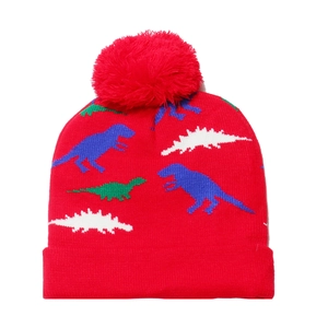 Macro detail of the red knitted winter hat featuring colorful dinosaur patterns and a pompom
