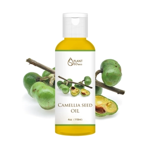 Natural Camellia Seed Oil 4oz for skin care with green tea plant leaves on white background