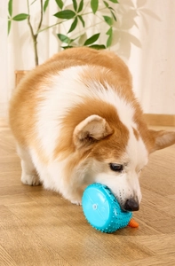 Blue textured dog chew toy shown on wooden floor with Corgi dog for interactive play