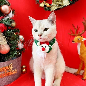 Cat wearing a festive red and green knitted Christmas tree scarf with white pom poms
