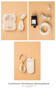 Detail showing LED copper wire lights with timer battery box and power adapter options