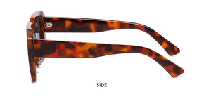 Side view of tortoise shell sunglasses showing hinge details and temples on white background