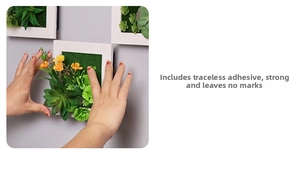 Detail of white square succulent wall frame being installed on wall with adhesive
