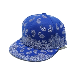 Close-up of blue flat brim snapback cap with white paisley pattern and sturdy twill fabric