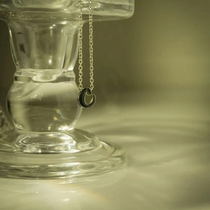 Detail eines silber-schwarzen Hufeisenanhängers an einer Kette auf einem Glashalter