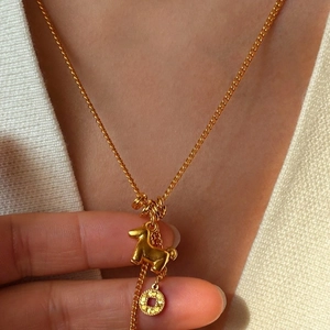 24K gold plated necklace featuring lucky horse and coin charms worn by model