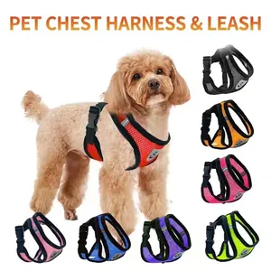 Breathable mesh dog harness with reflective strips in eight colors for small dogs