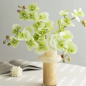 Lifelike light green 5-head orchid in beige ceramic vase for minimalist home decor