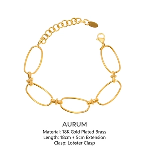 Minimalist Geometric Oval Link Chain Bracelet Titanium Stainless Steel Gold Plated Adjustable Jewelry For Women Men