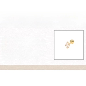 Vue détaillée d'une petite puce d'oreille fleur en argent 925 avec oxyde de zirconium brillant