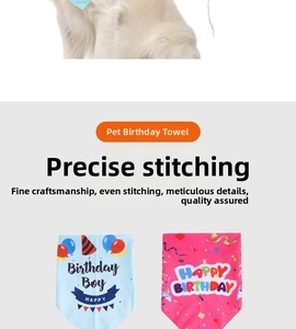 Detail of dog birthday bandana showing high-quality stitching and printed fabric