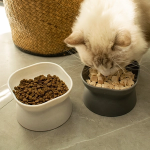 Elevated cat bowl with neck protection in ivory and grey for ergonomic pet feeding