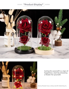 Close-up of dual red preserved roses in a glass dome with LED string lights and wood base