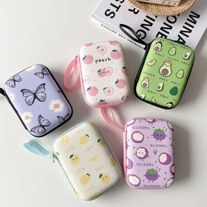 Flat lay of colorful fruit pattern hard shell cases for chargers and earphones