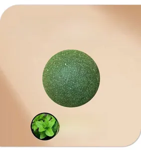 Détail macro d'une boule d'herbe à chat avec texture de fibres et feuilles de menthe