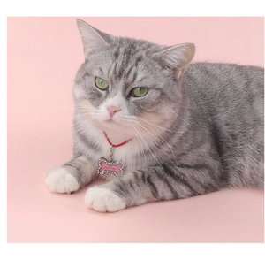 Pink bone-shaped pet ID tag with rhinestones and a photo frame shown on a cat