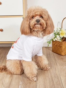 Close-up of a white mesh pet T-shirt with heart print worn by a small brown dog
