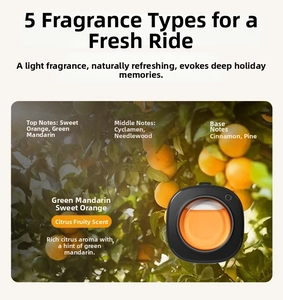 Detailed citrus scent notes of car air vent clip diffuser with orange fragrance
