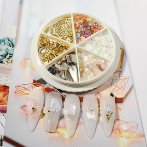 6-grid nail art decoration kit with pearls, gold chains, and colorful abalone shells