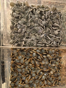 Bulk display of natural teardrop gemstone pendants in silver and gold metal settings