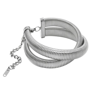 Detail of silver double layered snake chain bracelet with extension and lobster clasp