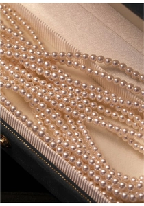 Close-up of high-quality freshwater pearls with cream-pink luster in a velvet jewelry box