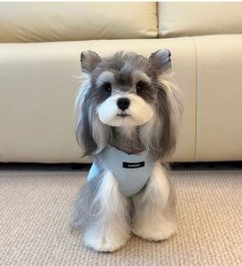 Detailed close-up of light blue padded pet vest with embroidered brand label on small dog