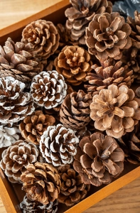 Dettaglio di pigne naturali e innevate in un vassoio di legno per decorazioni natalizie rustiche