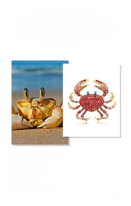Detailed comparison of crab design inspiration and red crystal encrusted alloy brooch