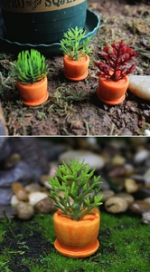 Detalle macro de modelos de suculentas en miniatura en macetas naranjas para micropaisajes