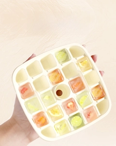 Détail du bac à 25 glaçons avec des fruits congelés comme du citron et de la fraise