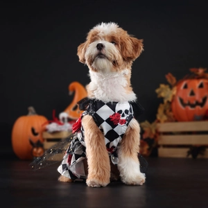 Detail view of Halloween pet dress with checkered pattern, skull prints and black sequins