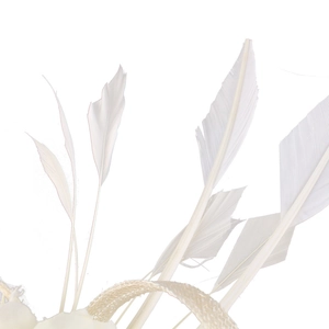 Macro detail of white bridal fascinator showing delicate feathers and woven mesh texture
