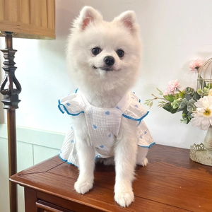 Detail of pet summer dress featuring blue heart print and ruffled flutter sleeves on a dog