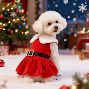 Close-up of velvet Christmas dog dress with plush trim and decorative black belt detail