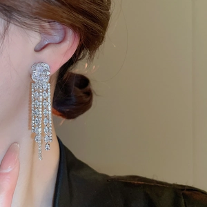 Side view of long silver tassel earrings with zircon stones worn by a model