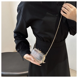 Mini acrylic box bag with gold chain strap and striped texture shown on a model