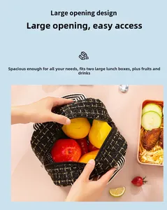 Large opening lunch bag showing spacious interior with fruits and lunch boxes
