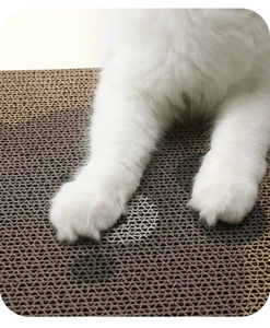Close-up of a white cat paw on durable corrugated cardboard scratcher with dot patterns