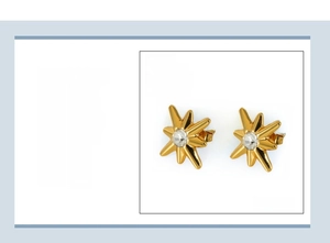 Detailed view of 18K gold plated starburst earrings with zircon and 14x14mm dimensions