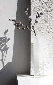 Artistic shadow play of a tall frosted glass vase with dry branches on a white wall