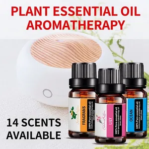 Water-soluble aromatherapy essential oil set for humidifiers with 10ml plant fragrance oils